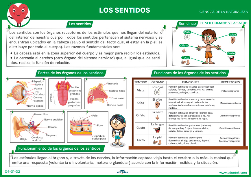 Descargar