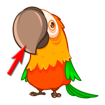 Pico