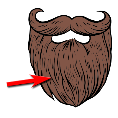 Barba