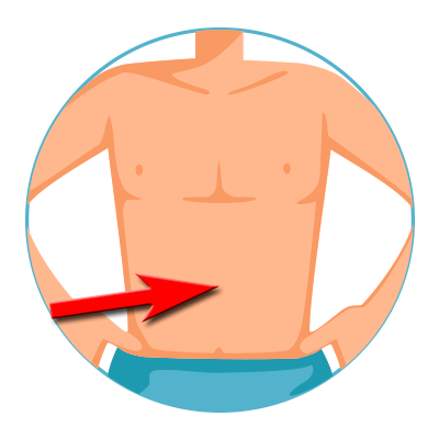 Barriga - vientre