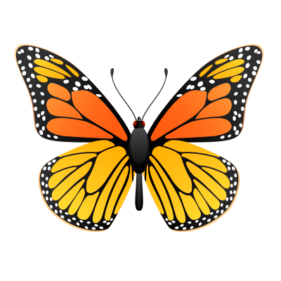 Mariposa