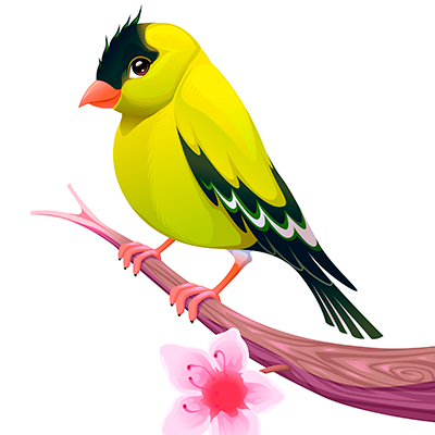 Canario