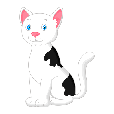 Gato