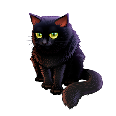 Gato