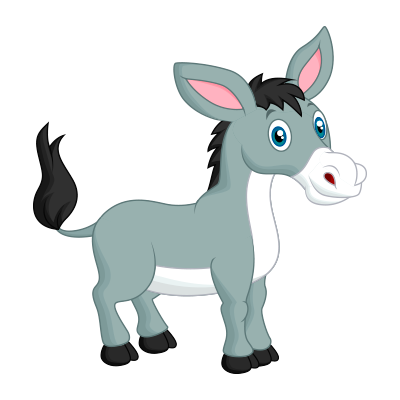 Burro