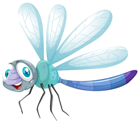 Libélula