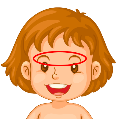 Cejas