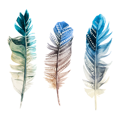 Plumas