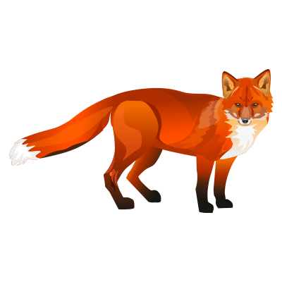 Zorro