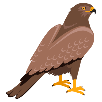 Halcón