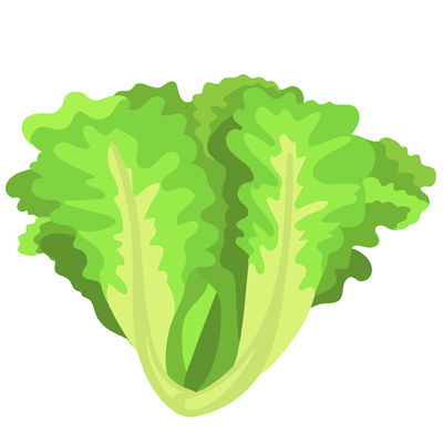 Lechuga
