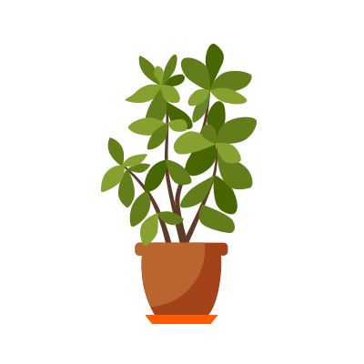 Planta