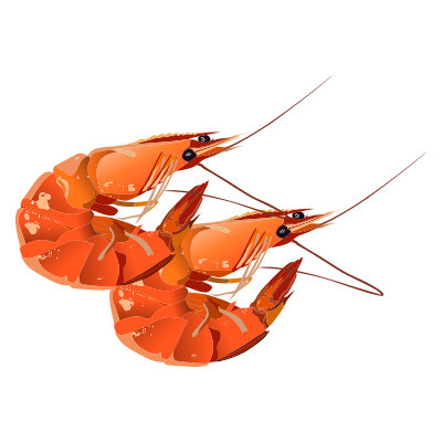 Gambas