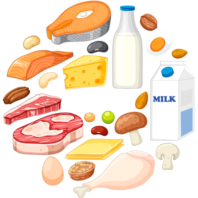 Proteína