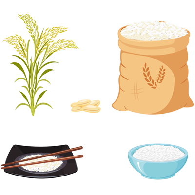 Arroz