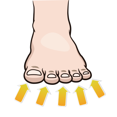 Dedos de los pies