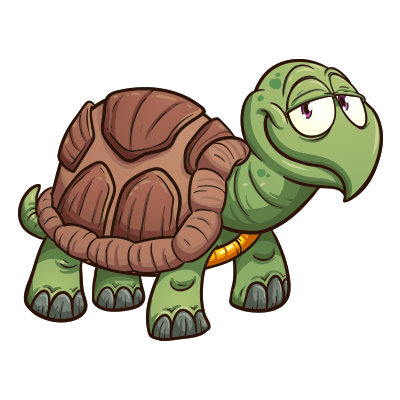 Tortuga