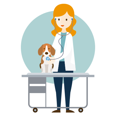 Veterinario