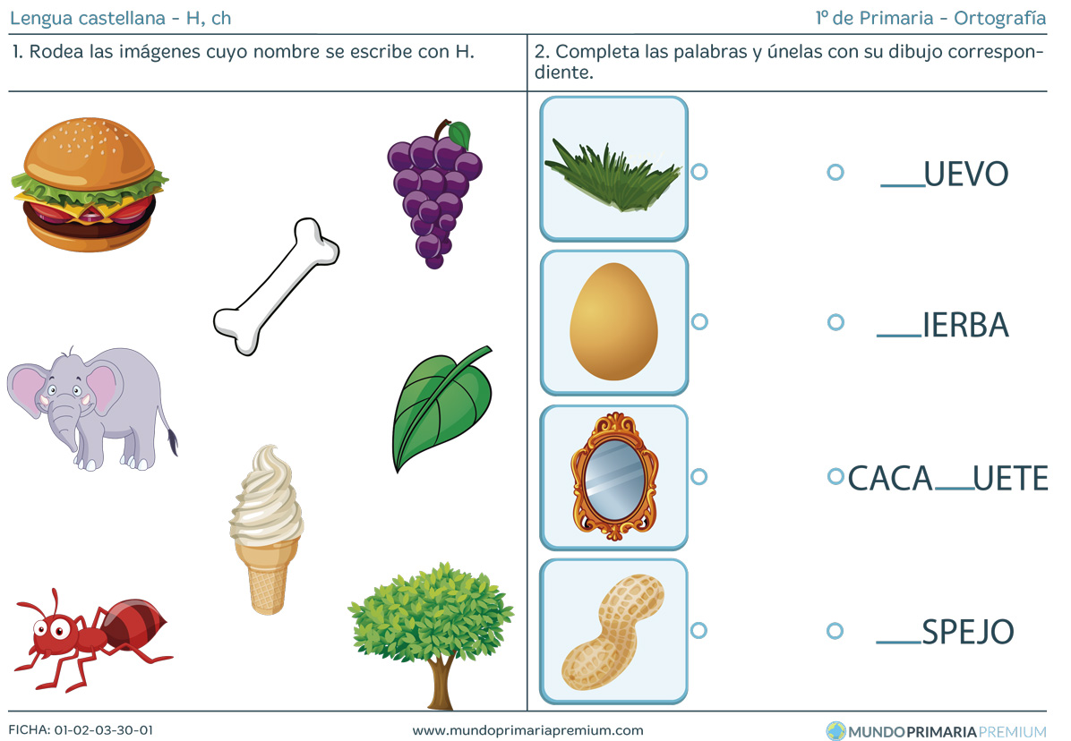 Descargar
