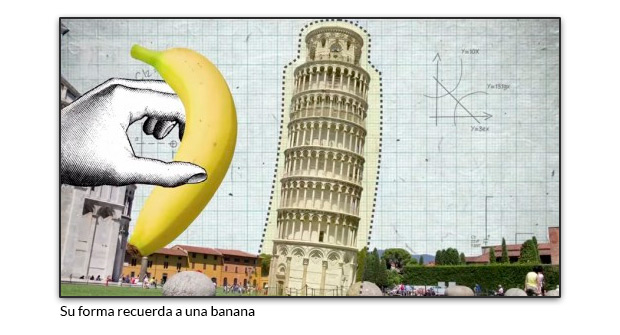 Su forma recuerda a una banana